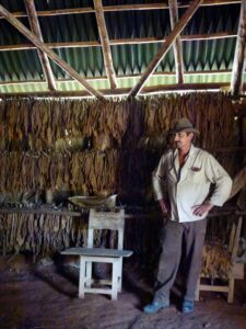 Spanish food tourism translation services | Tobacco shed | Viñales