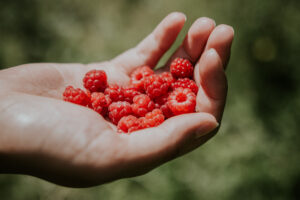Hand holding fresh raspberries | Spanish health and wellness translation services
