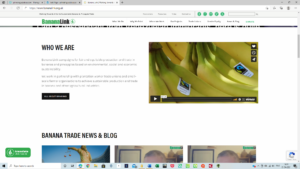 Banana Link web screenshot | Spanish translation service for corporate communications